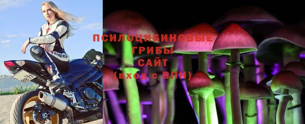 дмт Долгопрудный